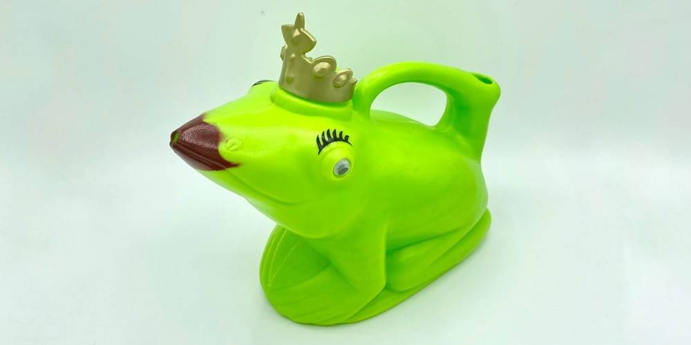  Gießkanne, Froschkönig/-königin 