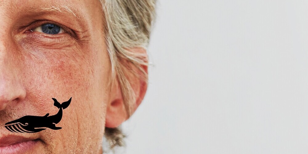 Tickets William Wahl, wahlweise in Braunschweig